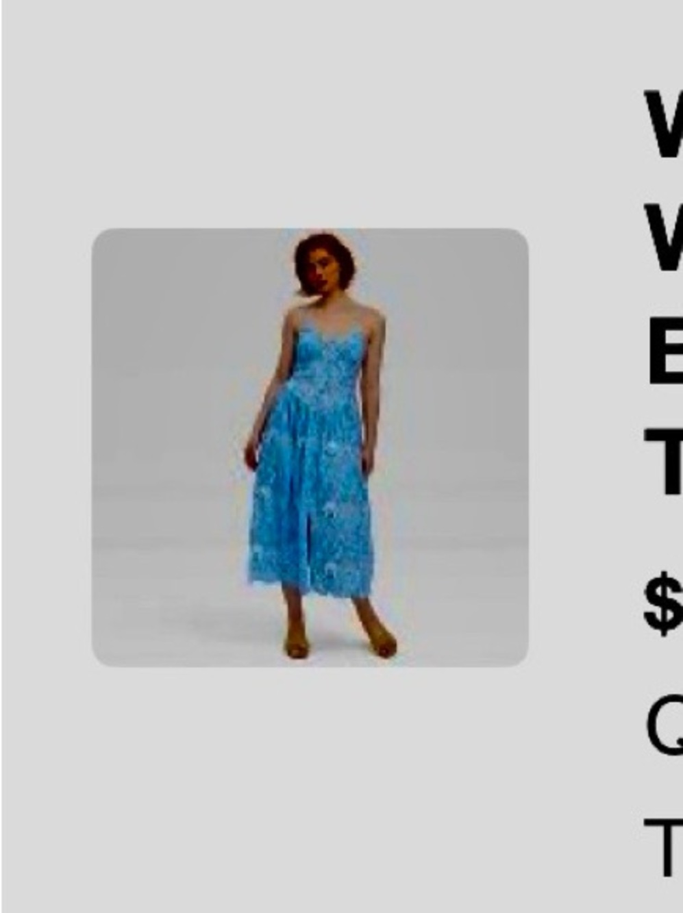 Roller Rabbit Target Floral Vines a line dress blue XL